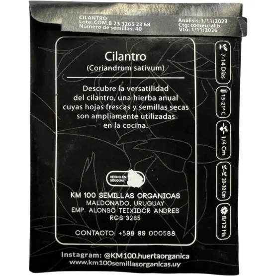 cilantro