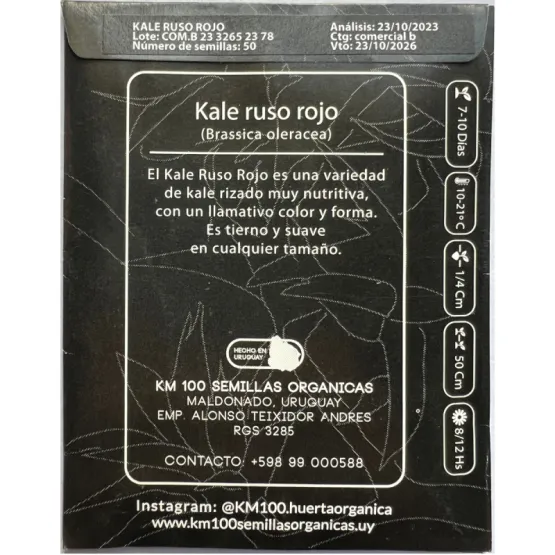 kale ruso rojo