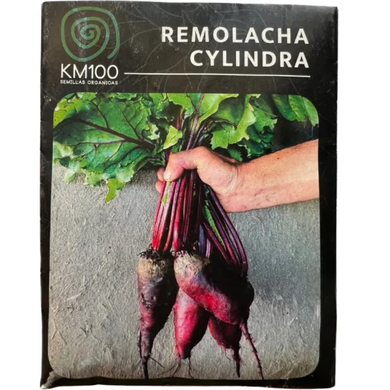 remolacha
