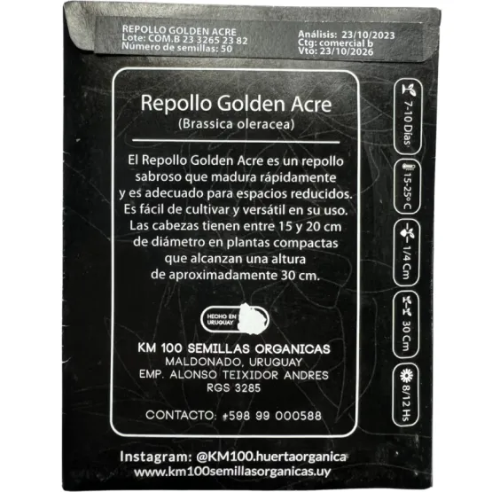 repollo golden acre