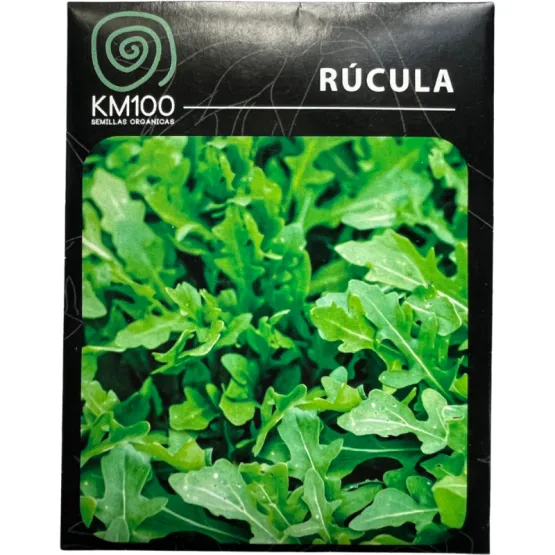 rucula