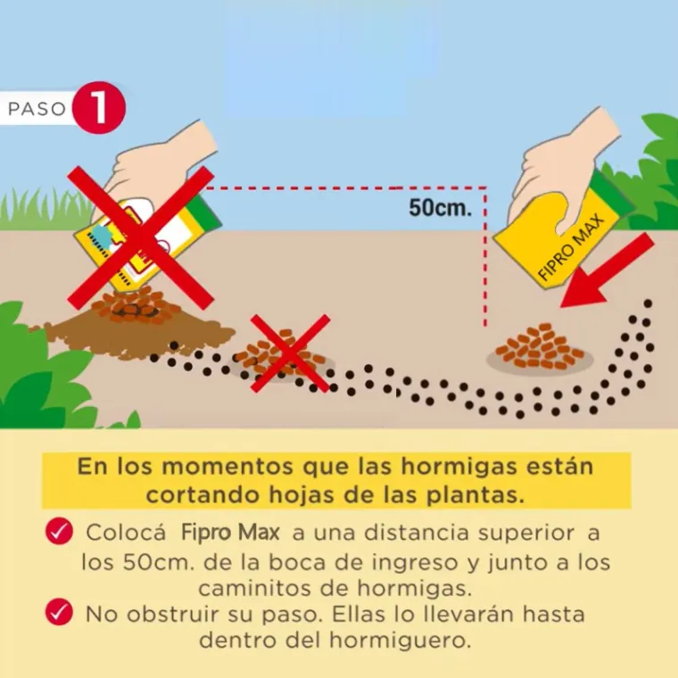 veneno para hormigas rojas