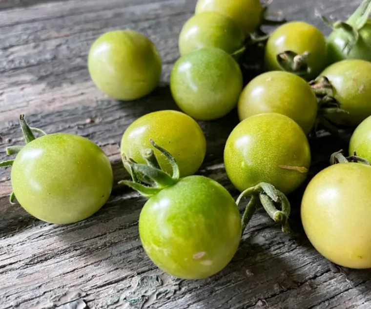 tomate cherry exotico