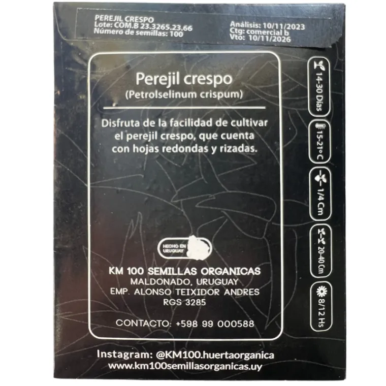 perejil crespo