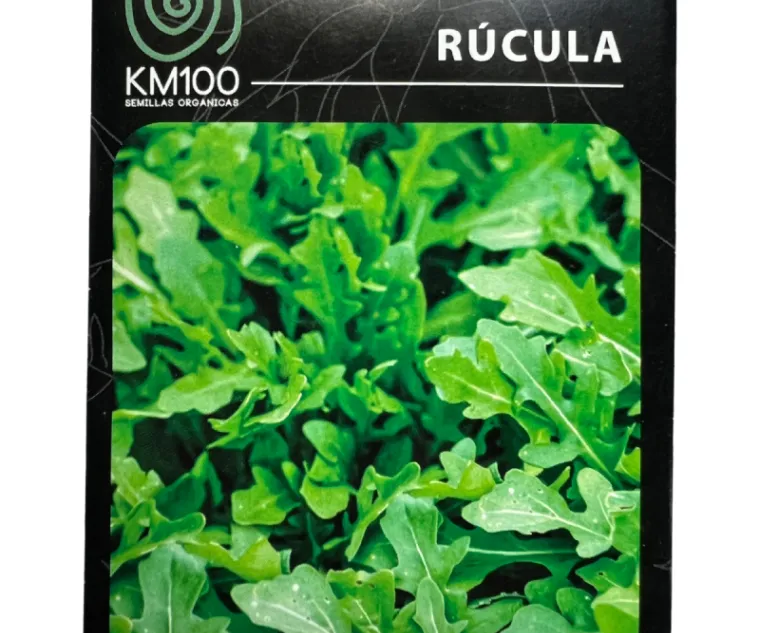rucula