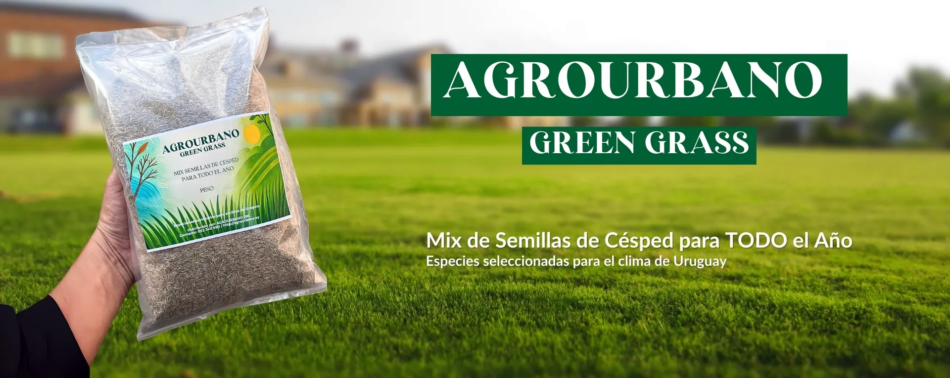 SEMILLAS CESPED PARA TODO EL AÑO